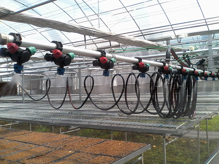 搞溫室大棚育苗的朋友注意了，用噴灌機時一定要做的